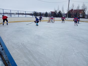 Чемпионат области по хоккею с шайбой